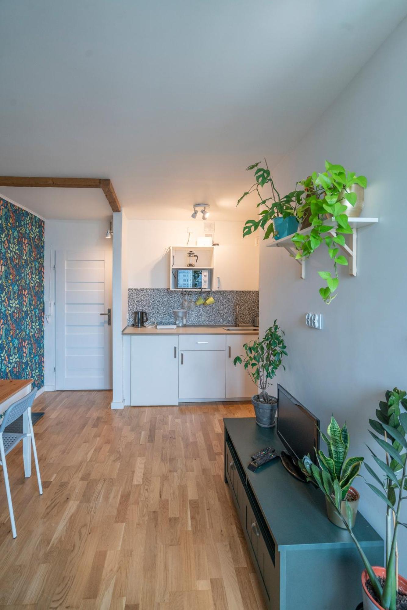 Green Studio In The City Center Of Вроцлав Екстер'єр фото